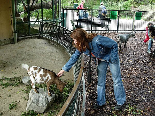 Шьонбрун - най-старата зоологическа градина в света (Schonbrunn Zoo)